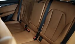 BMW X4 Xdrive 20D pieno