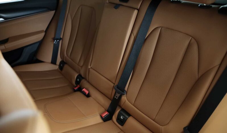 BMW X4 Xdrive 20D pieno