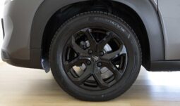 Citroen C3 Aircross 1.5 Blue HDI 110CV pieno