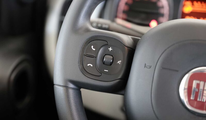 Fiat PANDA 1.0 Firefly Hybrid Cross S&S 70CV 5P pieno