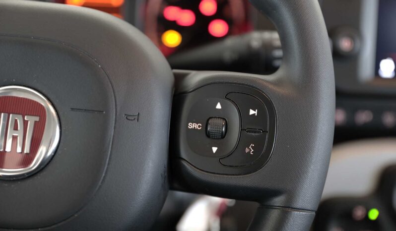 Fiat PANDA 1.0 Firefly Hybrid Cross S&S 70CV 5P pieno