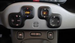 Fiat PANDA 1.0 Firefly Hybrid Cross S&S 70CV 5P pieno