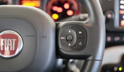 Fiat PANDA 1.0 Fire-Fly Hybrid City Cross S&S 70CV pieno